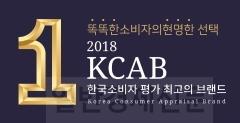 ũ�⺯ȯ_�纻 -2018 KCAB �ѱ� �Һ��� �� �ְ��� �귣�� (1).jpg