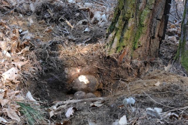 ũ�⺯ȯ����1. ������ ����1.jpg