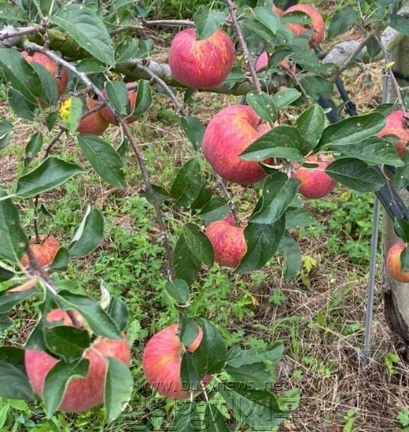 �纻 -1630415858199-2.jpg