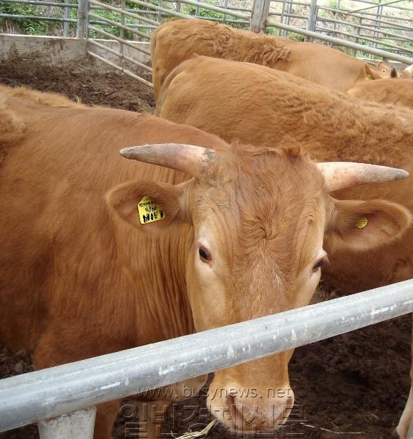 ũ�⺯ȯ_11�纻 -�ѿ����,,,.jpg