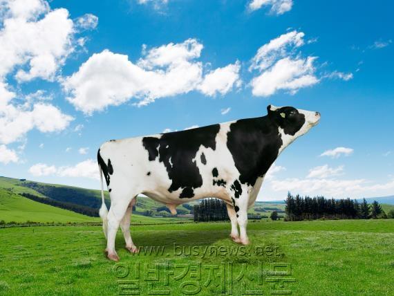 ���Һ��������� Ƽ����.jpg