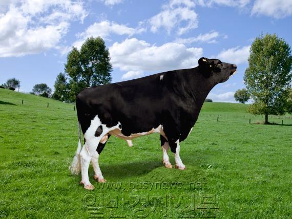 ���Һ��������� �ѷ���.jpg