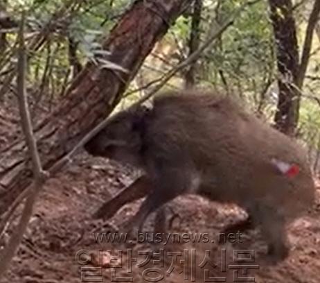 �纻 -����� ��ȹ 1��.jpg