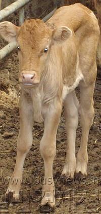 �۾��� ����.jpg