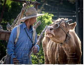 �˿�����, ���.jpg