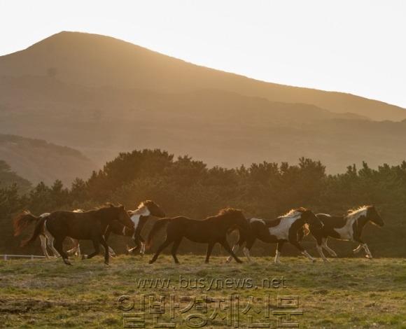 �纻 -1_AG3I0635.jpg