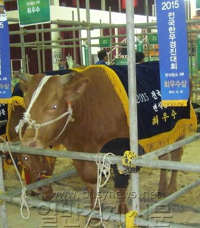 �纻 -[�ٹ̱�]�ø���SANY5155 - ���纻 - ���纻.jpg