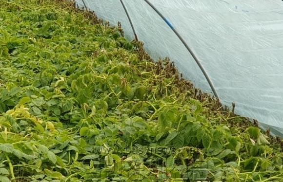 (�� ����) �� �����ϰ� Ż��.jpg