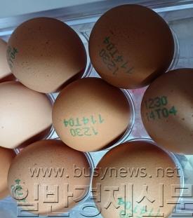 �纻 -�ø���20260107_080639.jpg