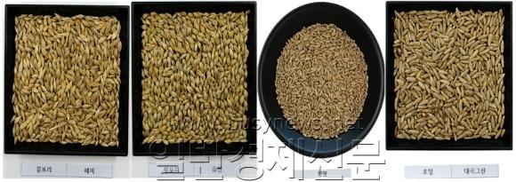 �� ���� �Ʒ� ������.jpg