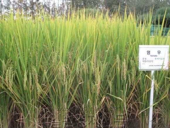 (����) ��ü �� ǰ�� _����_.jpg