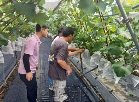 [ũ�⺯ȯ]���� ���� ��� �� 1-1.jpg