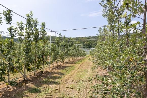 [ũ�⺯ȯ]��纼 ��� ���.jpg