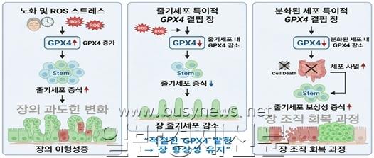 ��ǰ��, �ǰ��� �� �ٱ⼼��.jpg