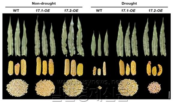 ������ ǥ�� ����.jpg